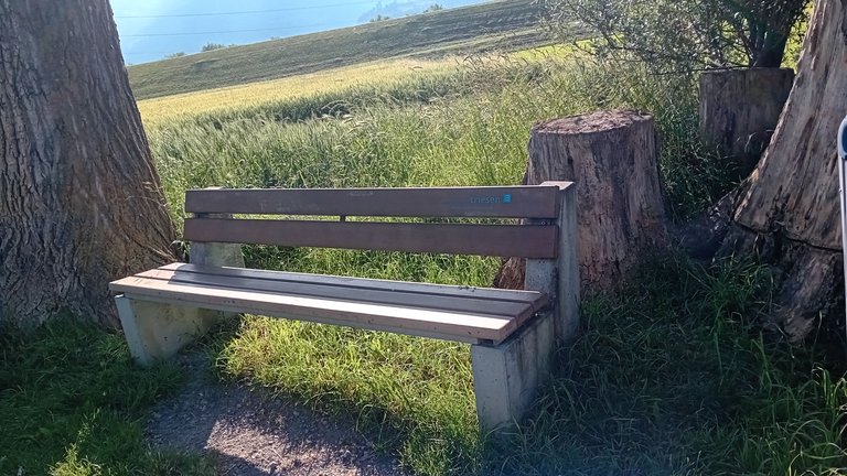 20250618_180227.jpg