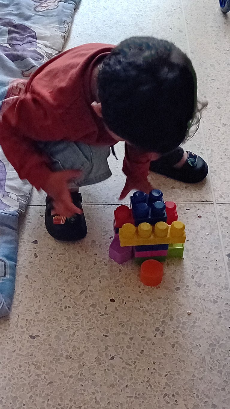 20250427_094916.jpg