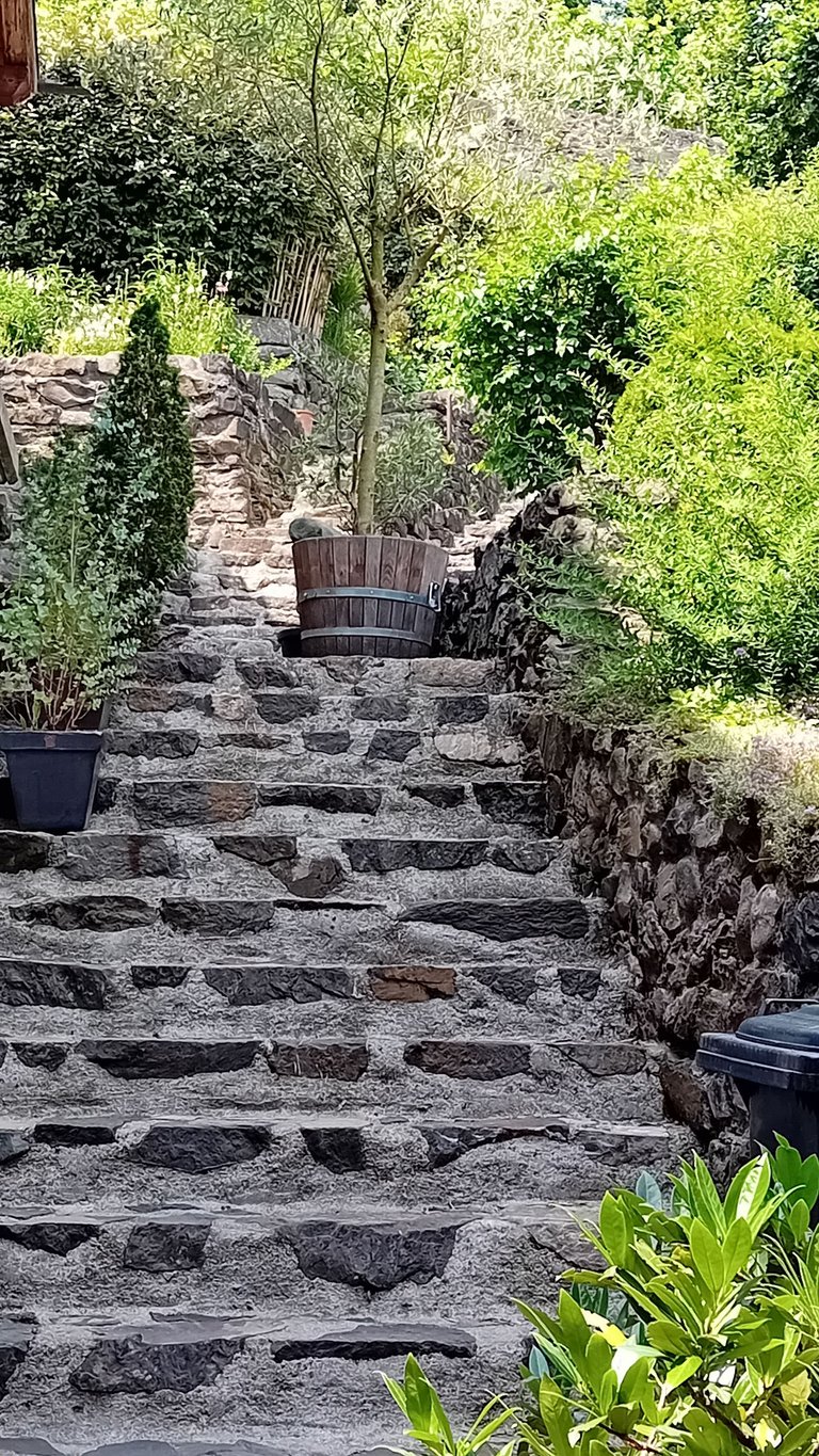 20250621_132103.jpg