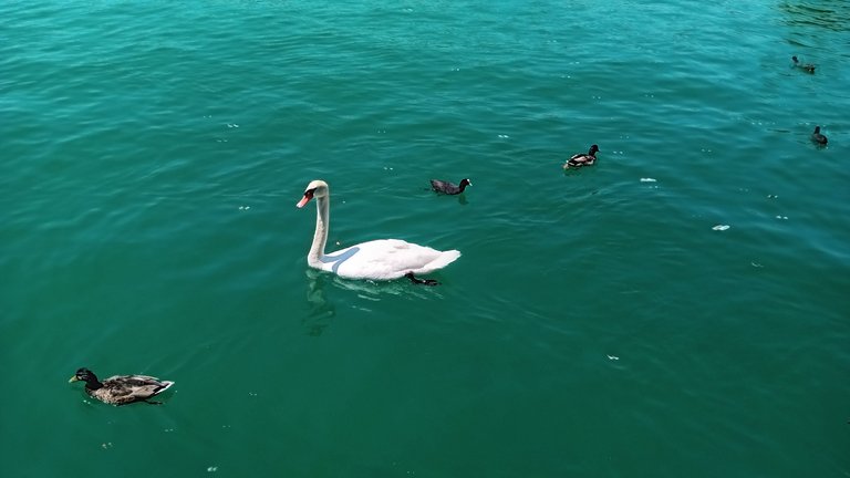 20250619_124117.jpg