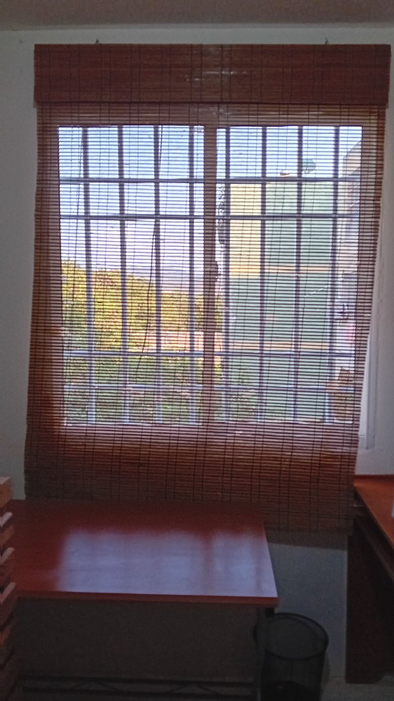 20240221_162838.jpg