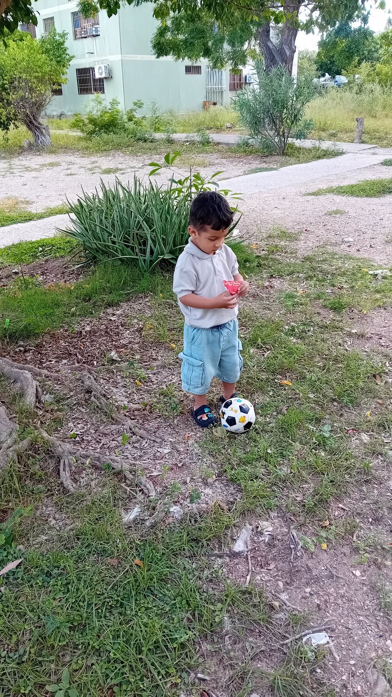 20250721_163500.jpg