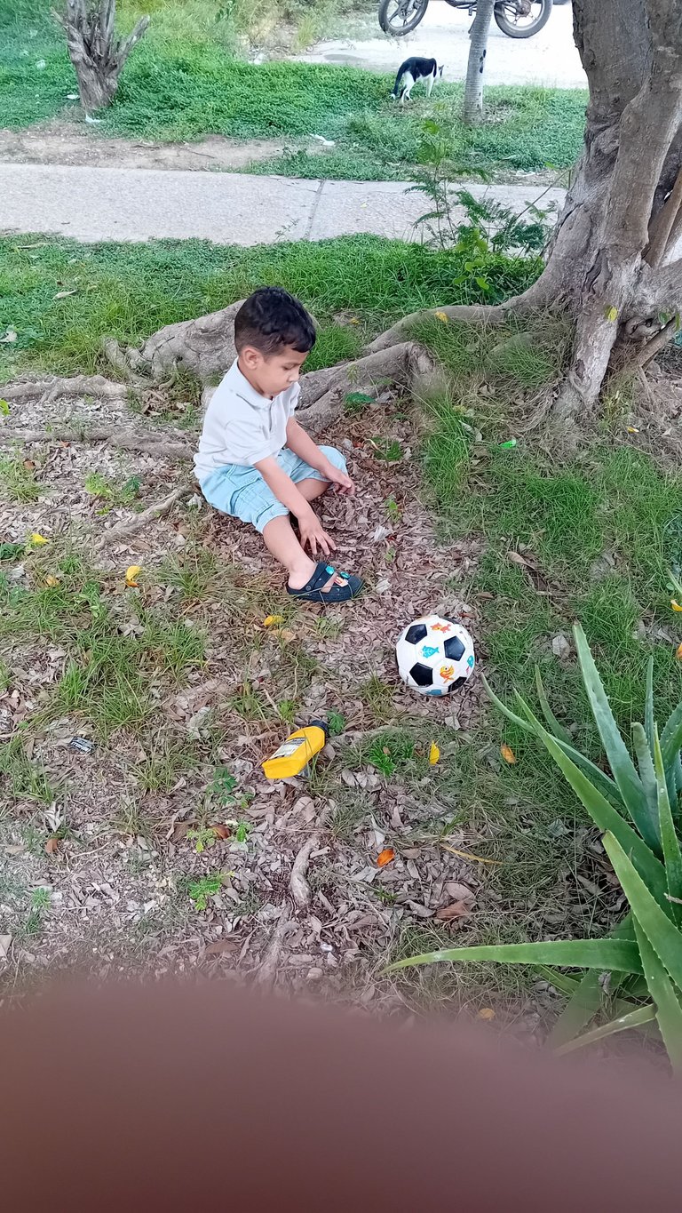 20250721_163710.jpg