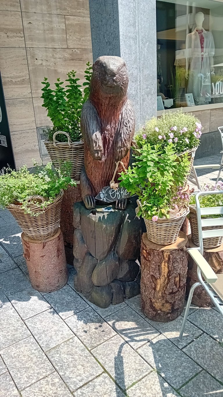 20250609_144941.jpg
