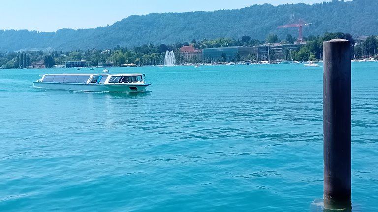 20250619_130316.jpg