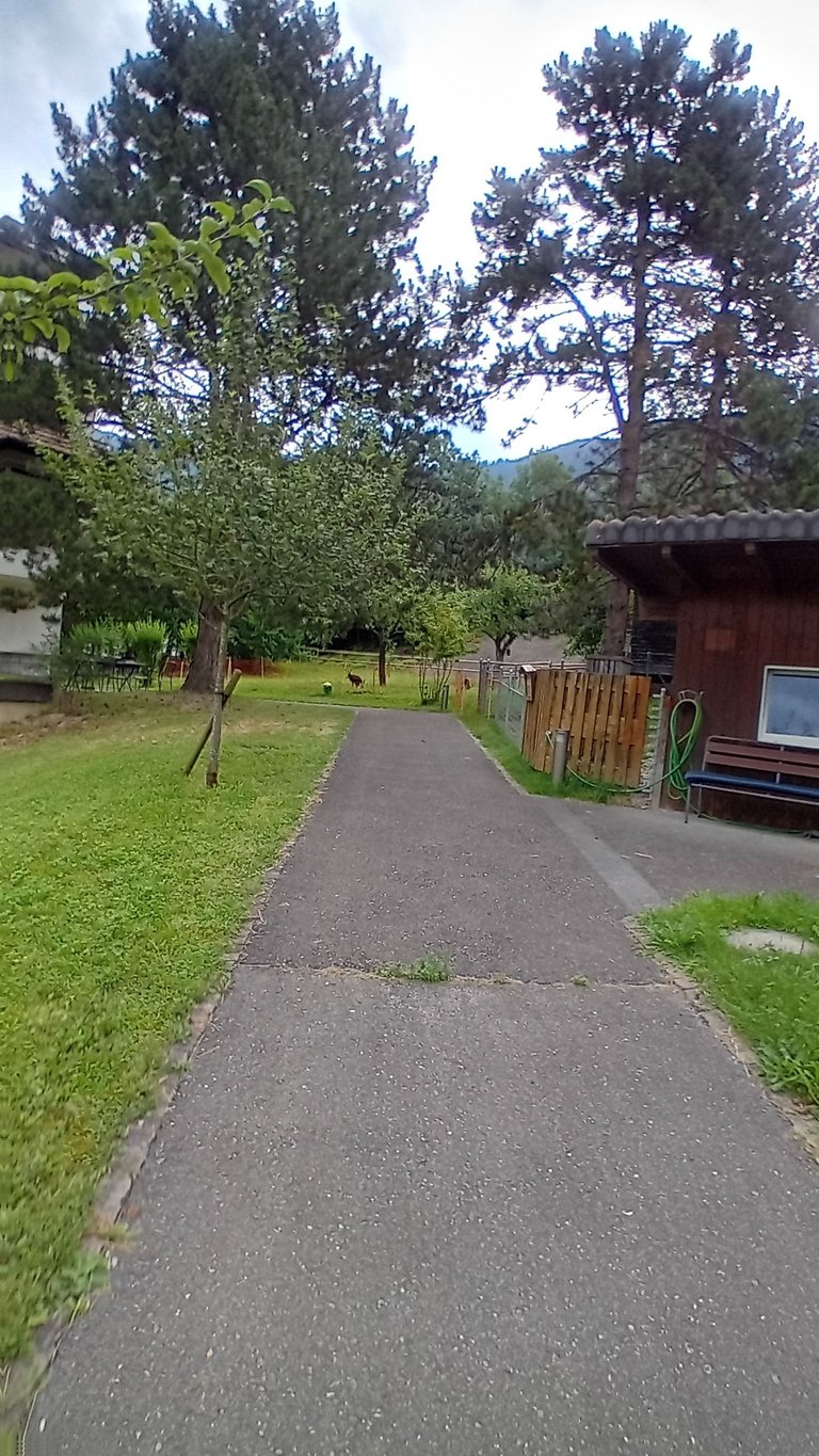 20250701_090546.jpg