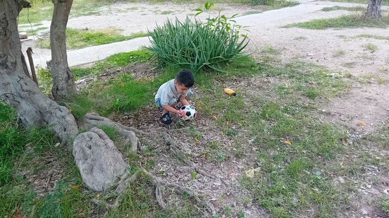 20250721_163439.jpg