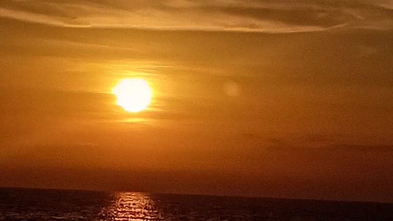 20250504_181418.jpg