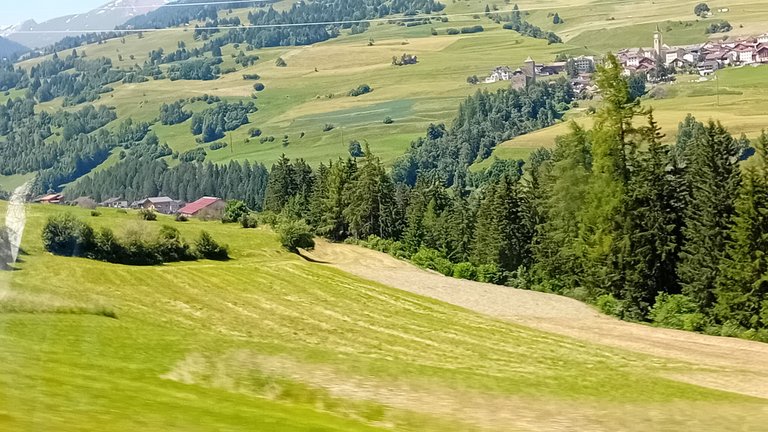 20250620_114055.jpg
