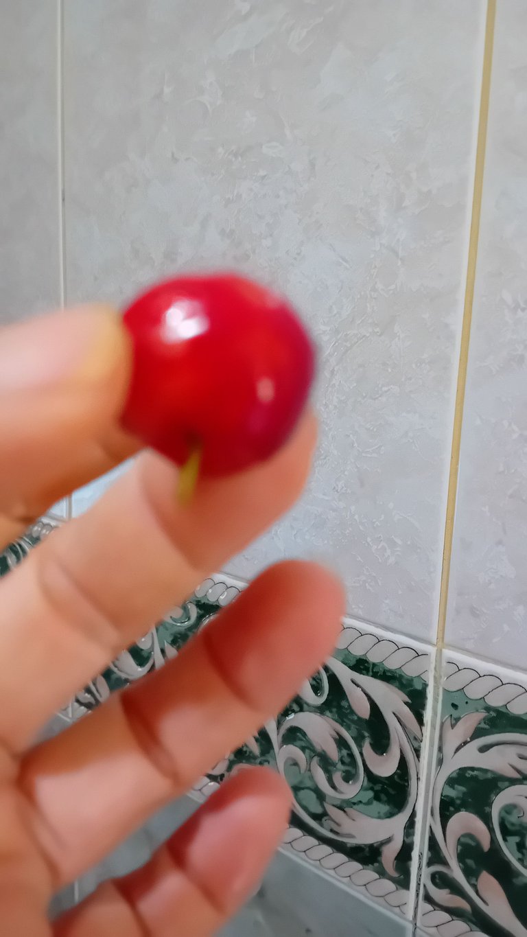 20250402_170538.jpg