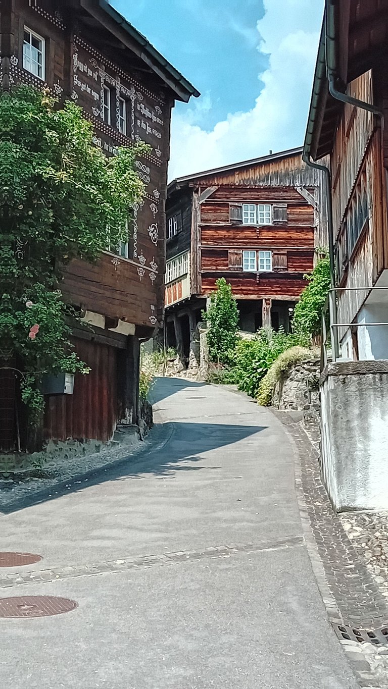 20250621_132153.jpg
