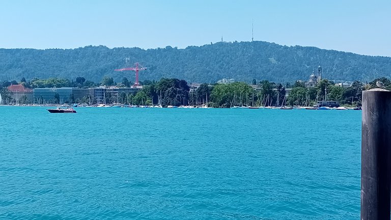 20250619_124539.jpg