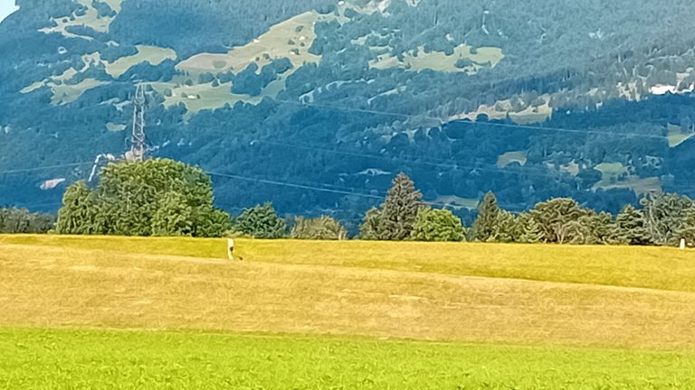 20250623_080002.jpg