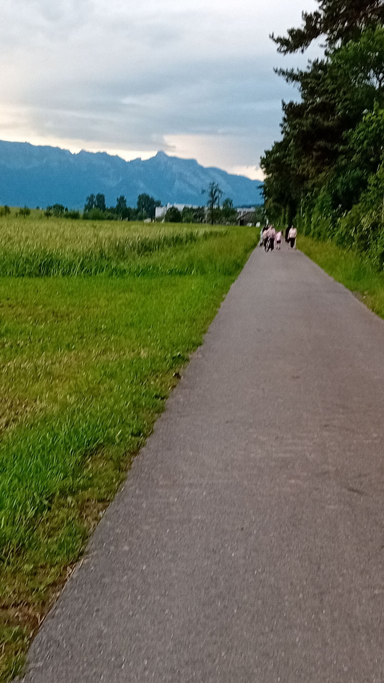 20250606_195149.jpg