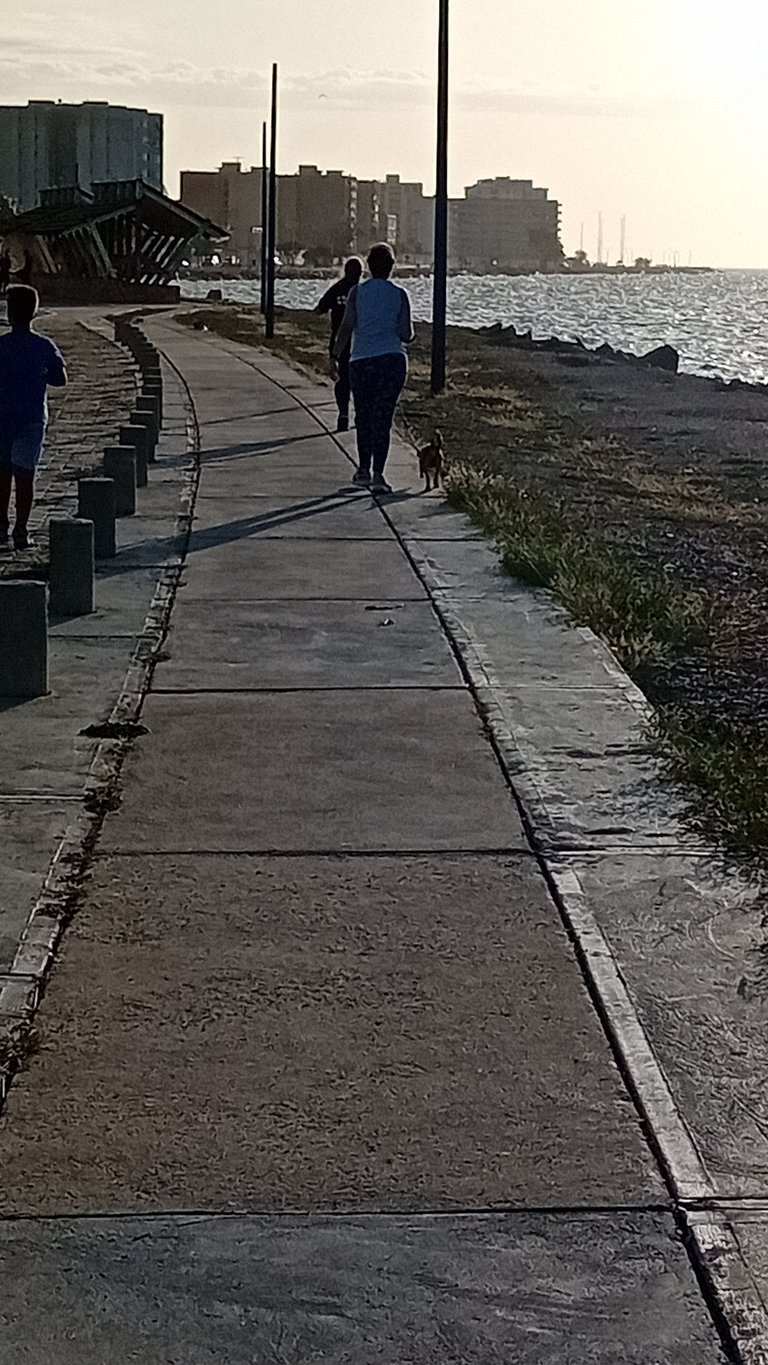 20250729_174650.jpg
