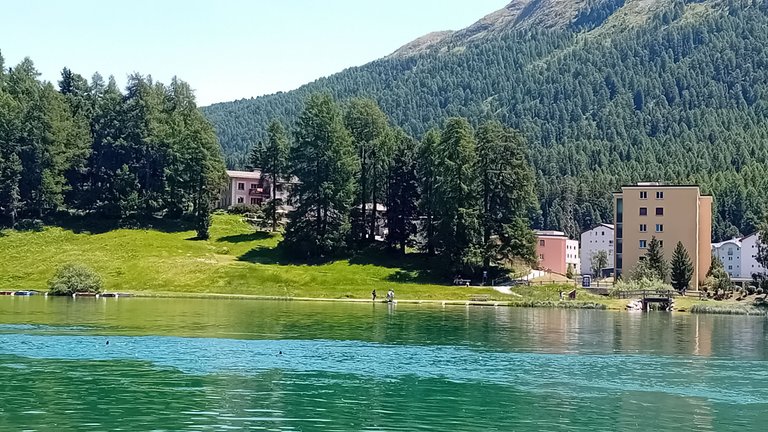 20250620_130836.jpg