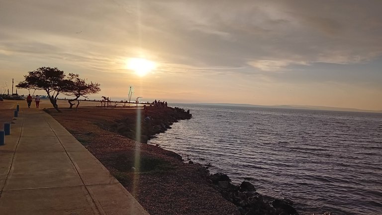 20250504_180014.jpg
