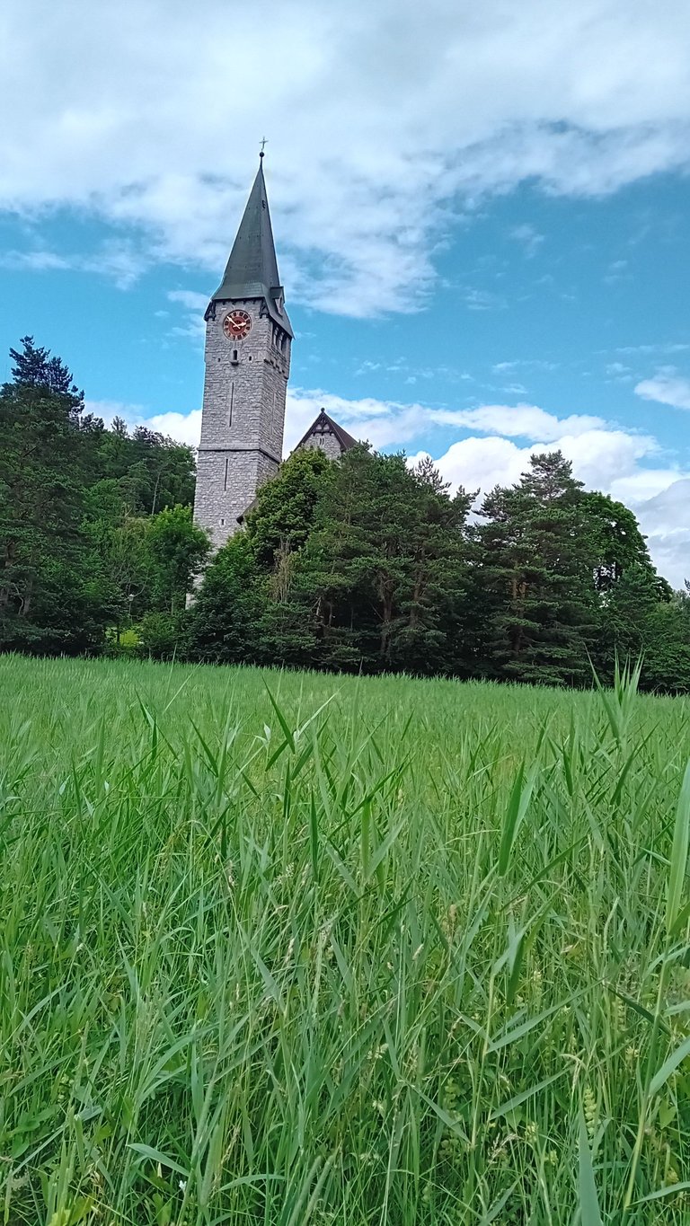 20250607_145122.jpg