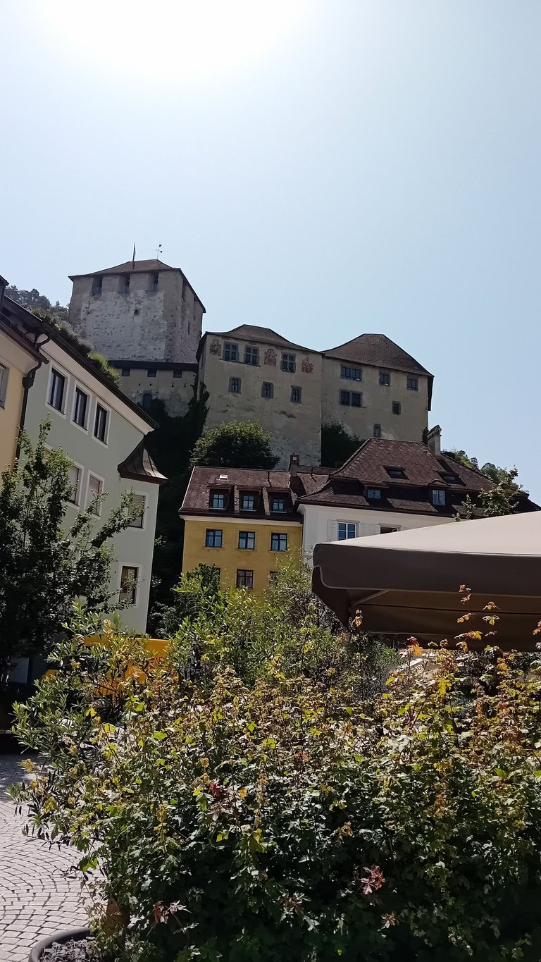 20250613_112106.jpg