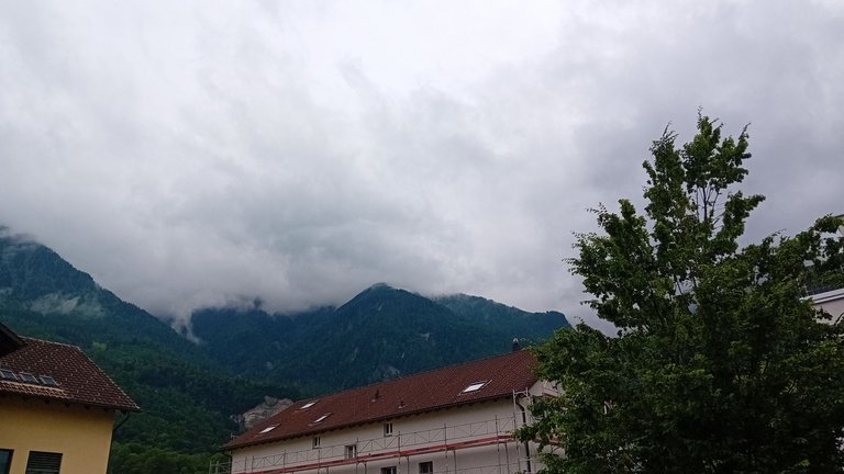 20250605_163204.jpg