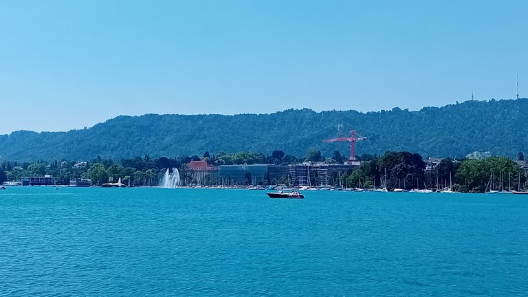 20250619_124535.jpg