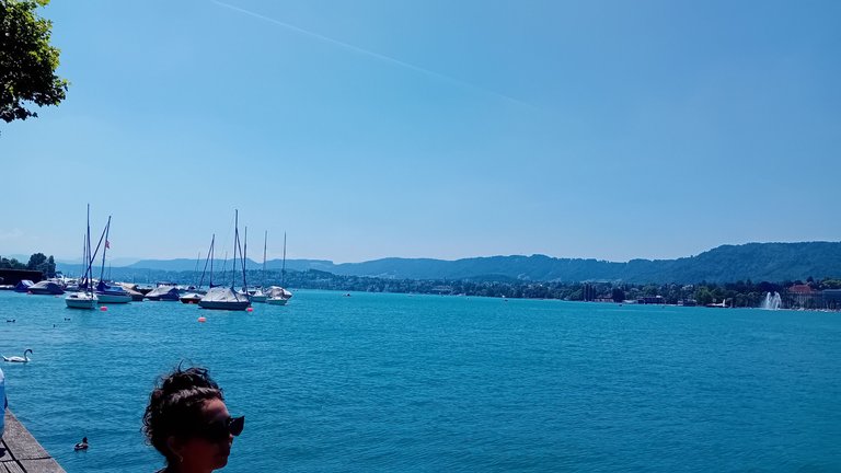 20250619_124523.jpg
