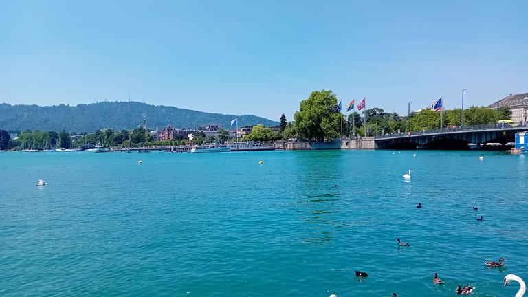 20250619_124111.jpg