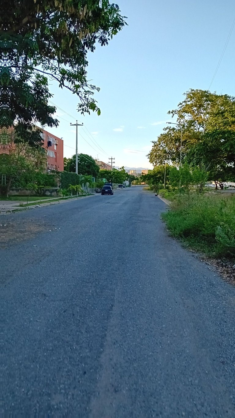 20231114_064258.jpg