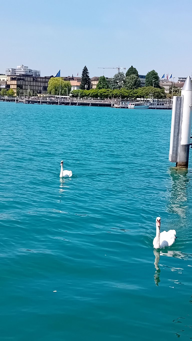 20250619_124549.jpg
