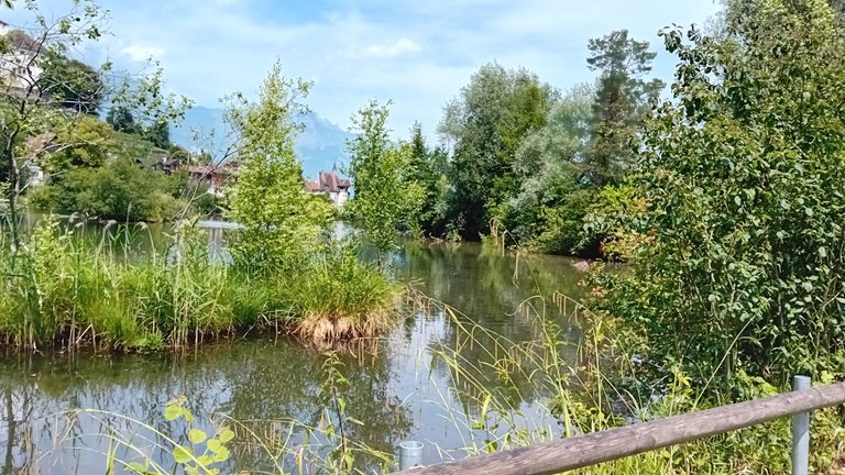 20250621_131528.jpg