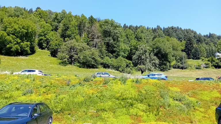 20250630_122354.jpg