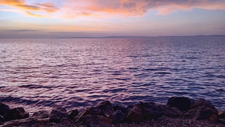 20250504_183810.jpg