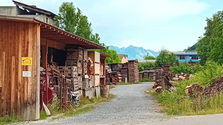 20250701_091650.jpg