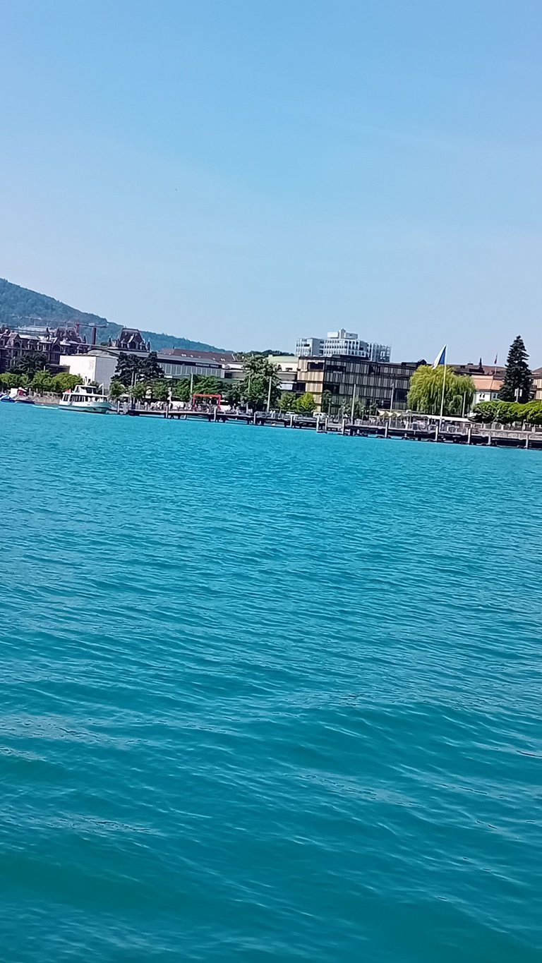 20250619_124544.jpg
