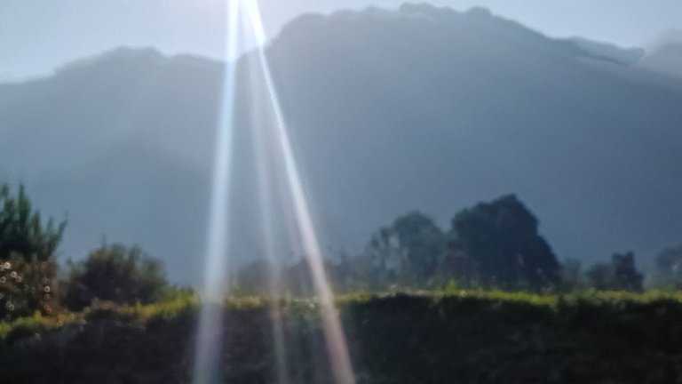 20250612_082950.jpg