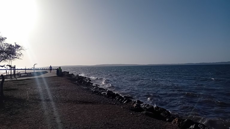20250729_172347.jpg