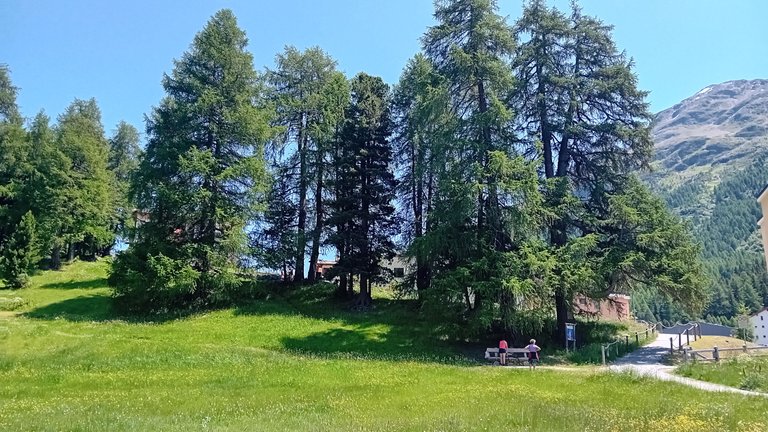 20250620_132629.jpg