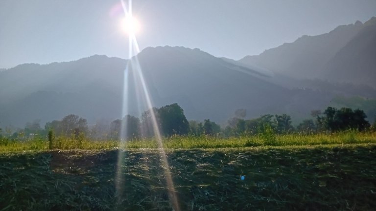 20250612_083002.jpg