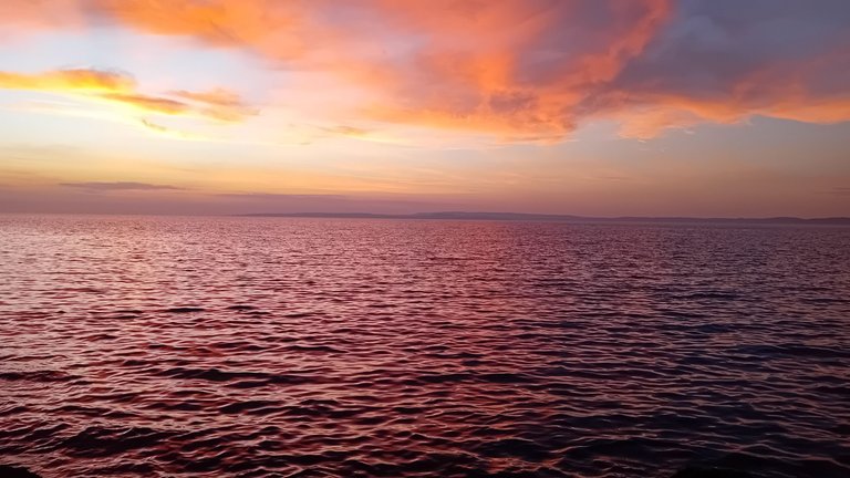 20250504_183806.jpg