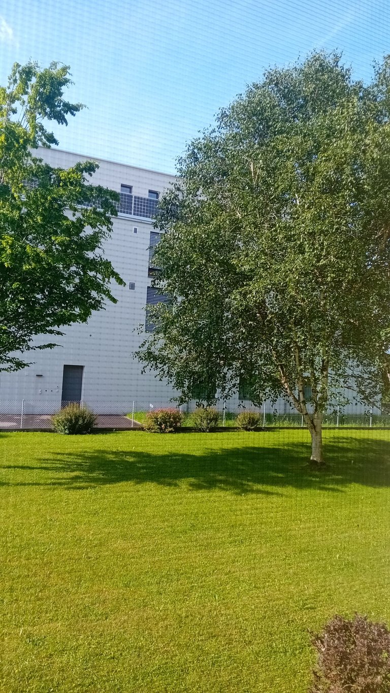 20250603_090506.jpg