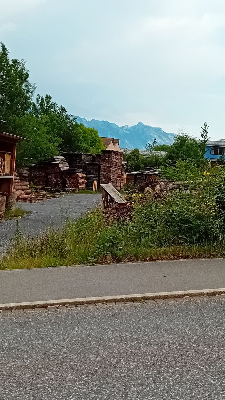 20250701_091656.jpg