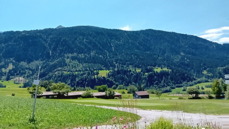 20250630_122456.jpg
