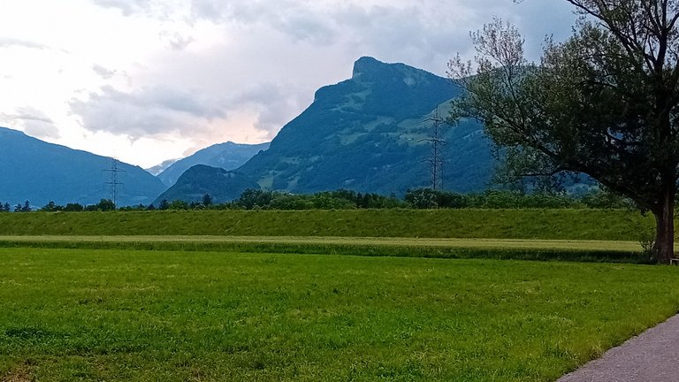 20250606_195048.jpg
