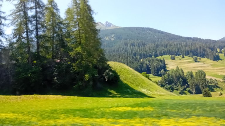 20250620_114459.jpg