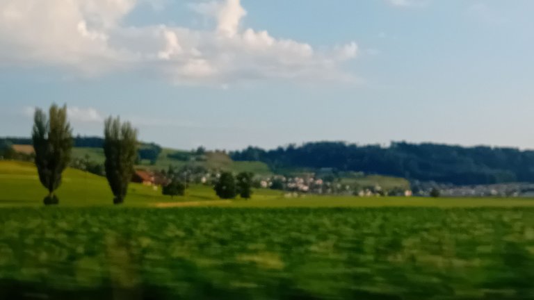20250703_070655.jpg