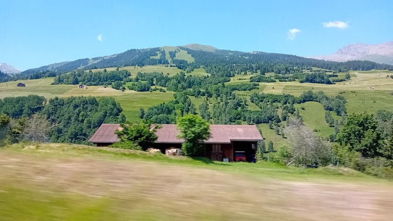 20250620_114242.jpg