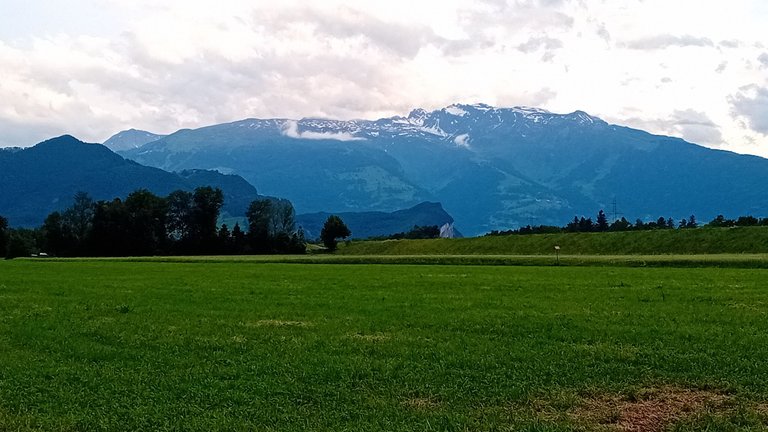 20250606_195037.jpg