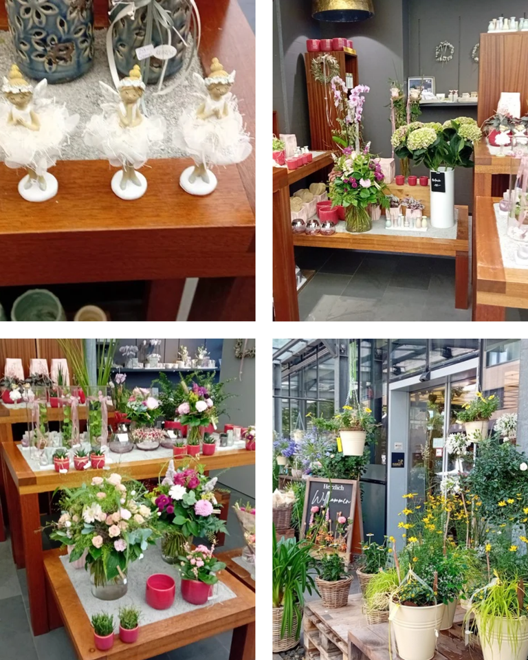 Frühlingsgefühle Instagram Beitrag Hochformat Collage_20250629_134224_0000.png