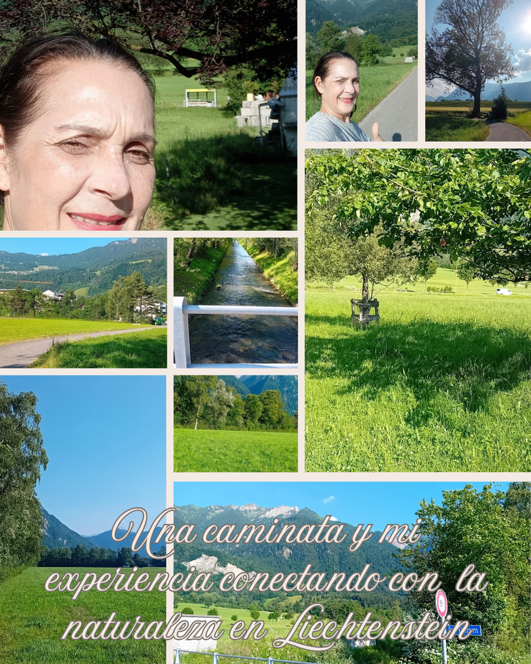 Braun Grün Collage Frühling Moodboard Instagram Post_20250619_081900_0000.png