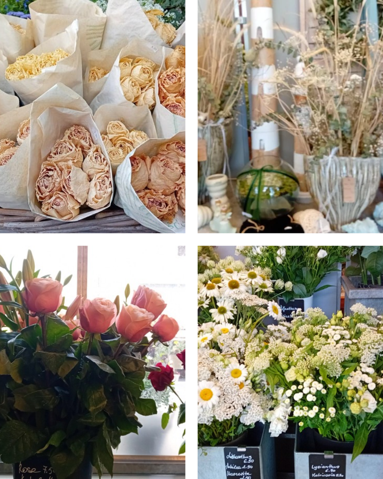 Frühlingsgefühle Instagram Beitrag Hochformat Collage_20250629_134435_0000.png